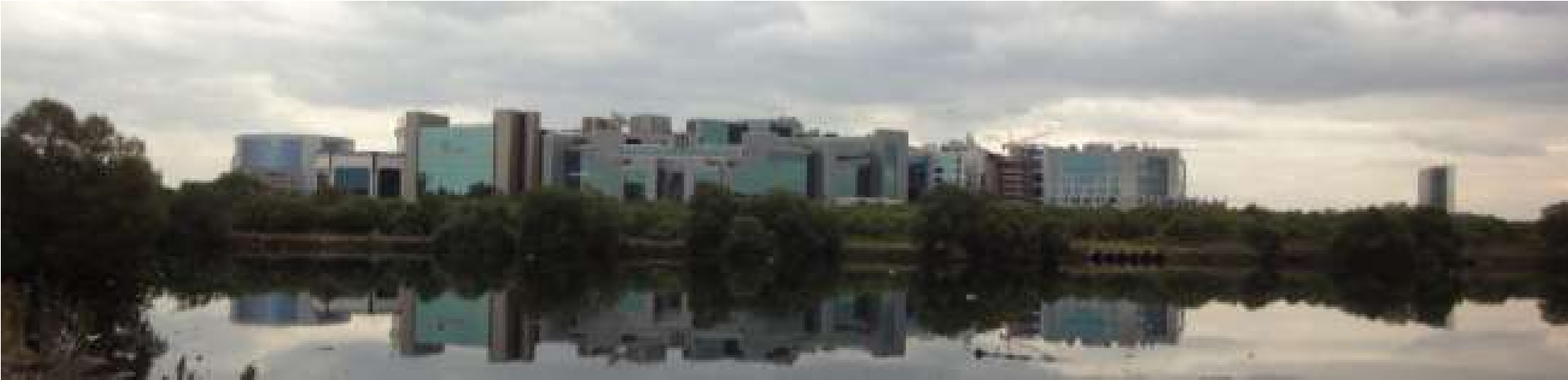 Reflections of the glass-facade buildings of the Bandra Kurla Complex in the Mithi River as seen from MNP's northern end.